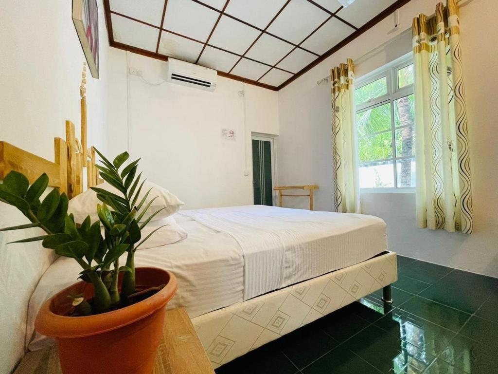 Fehendhoo Stay Luaran gambar